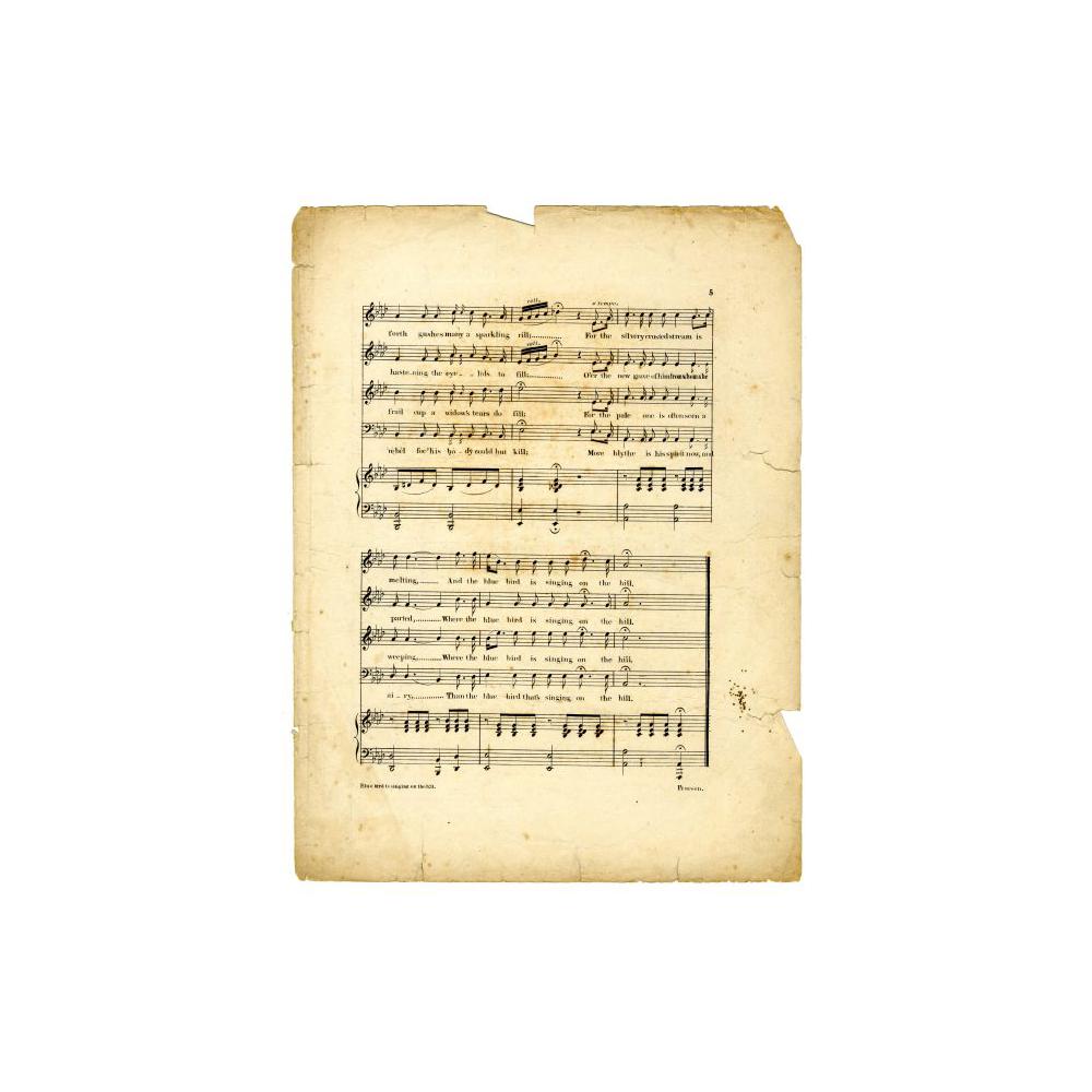 Image: The Volunteers Grave or Blue Bird is Singing on the Hill