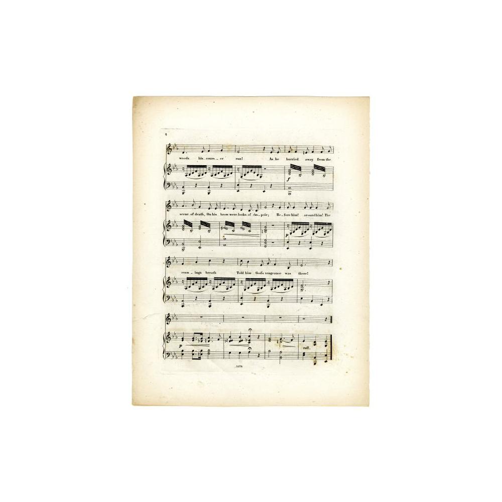 Image: The Assassin's Vision