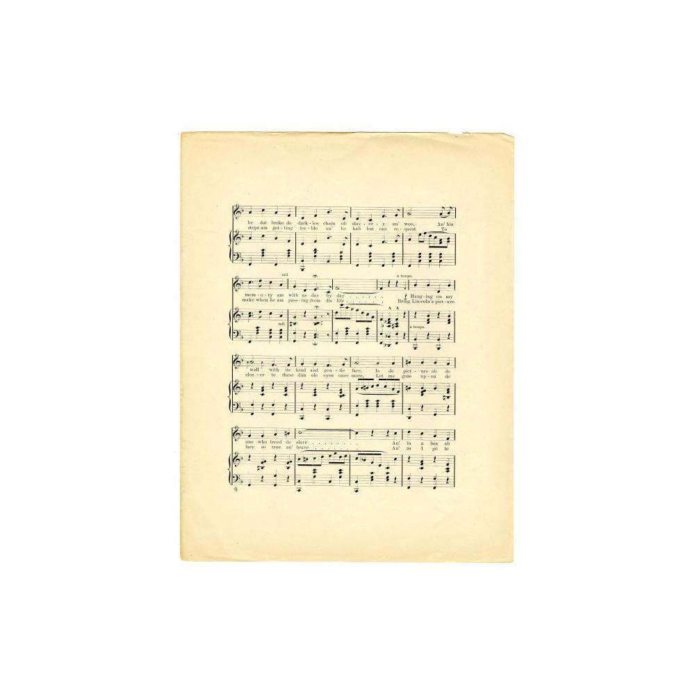 Image: The Flower from Lincoln's Grave