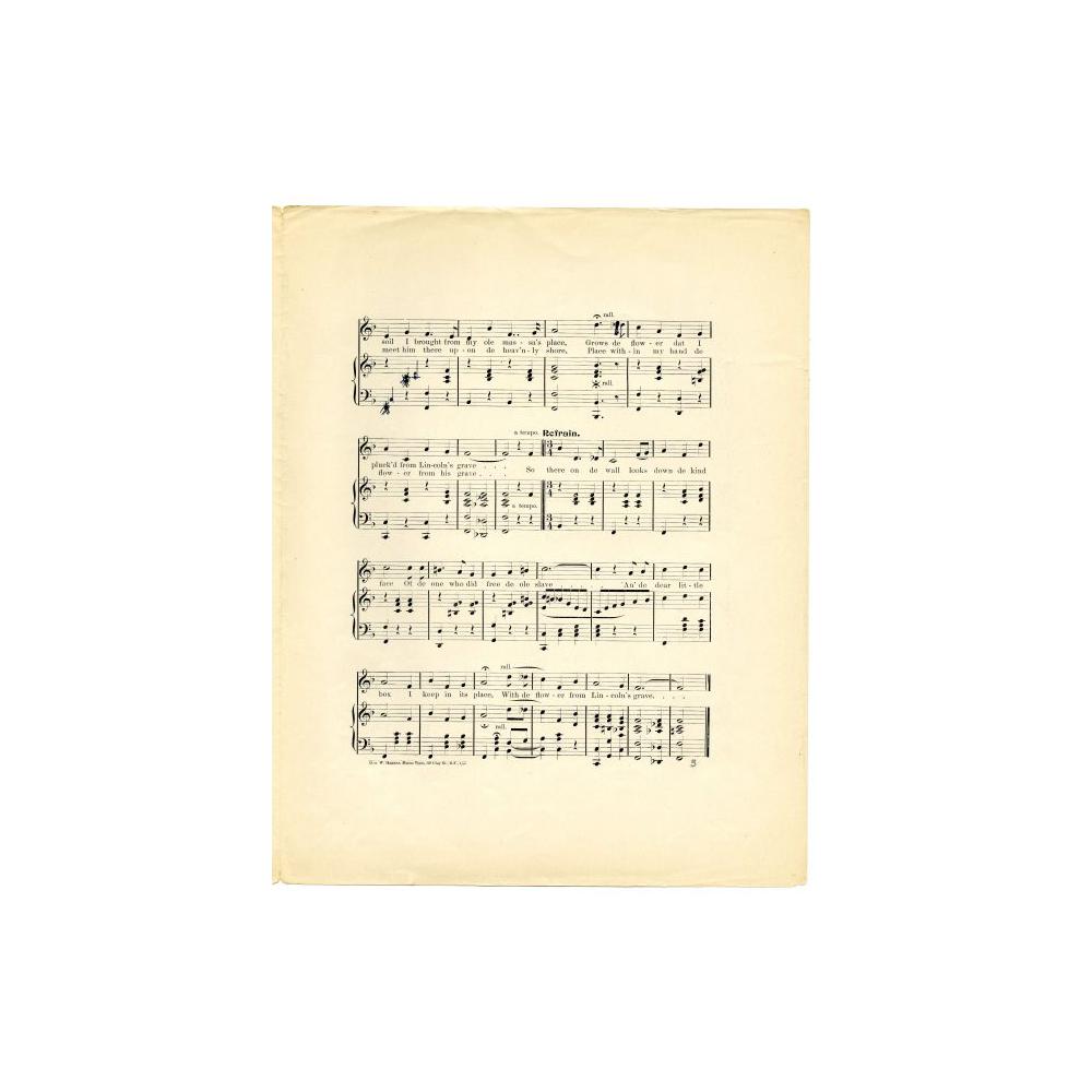 Image: The Flower from Lincoln's Grave