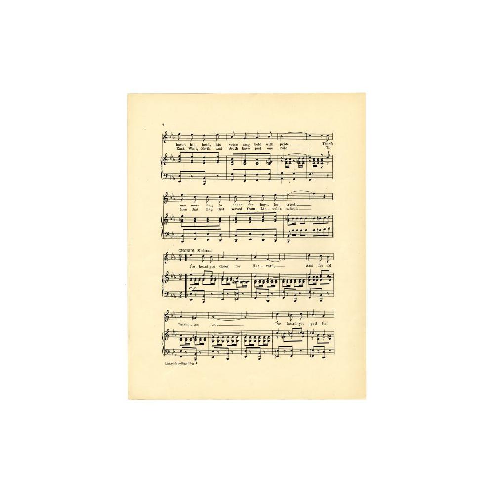 Image: Lincoln's College Flag