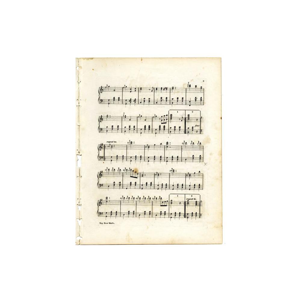 Image: May Rose Waltz