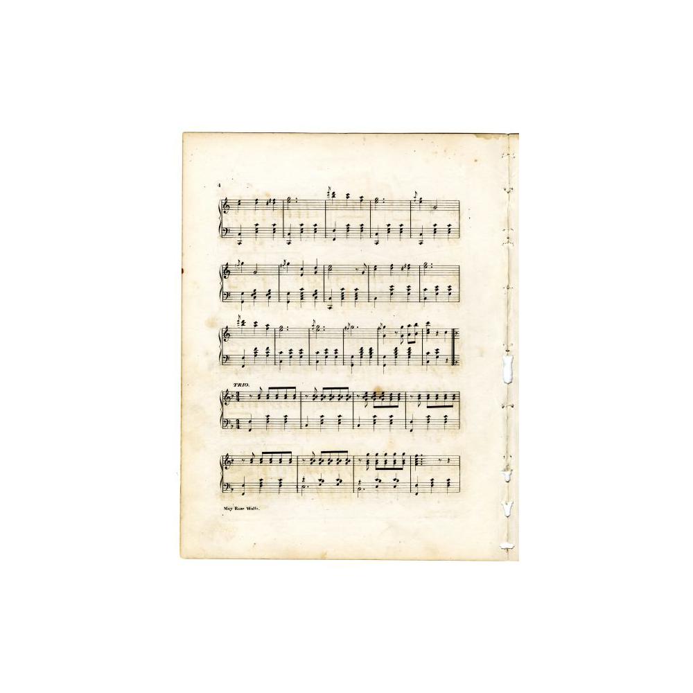 Image: May Rose Waltz