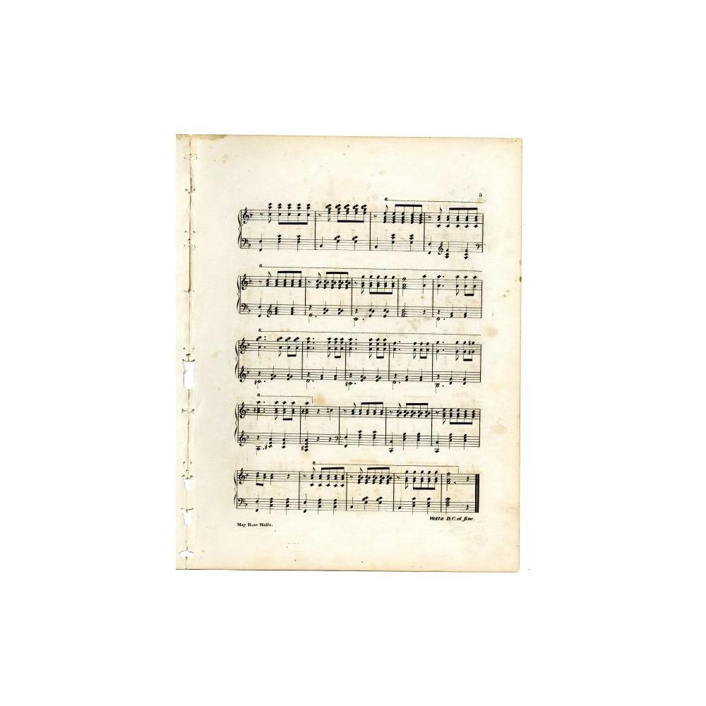 Image: May Rose Waltz