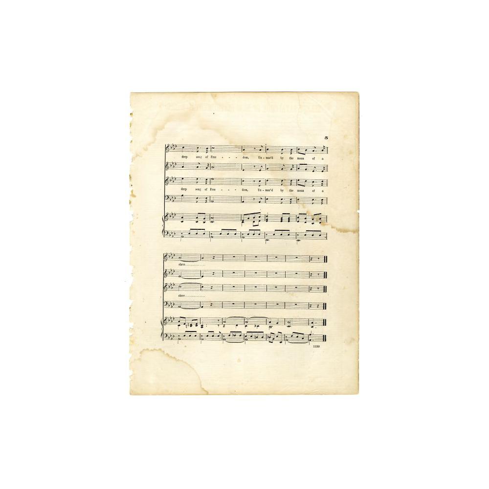 Image: The Martyr of Liberty