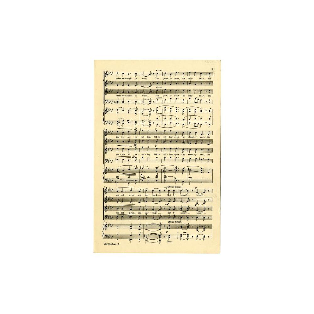 Image: O Captain My Captain