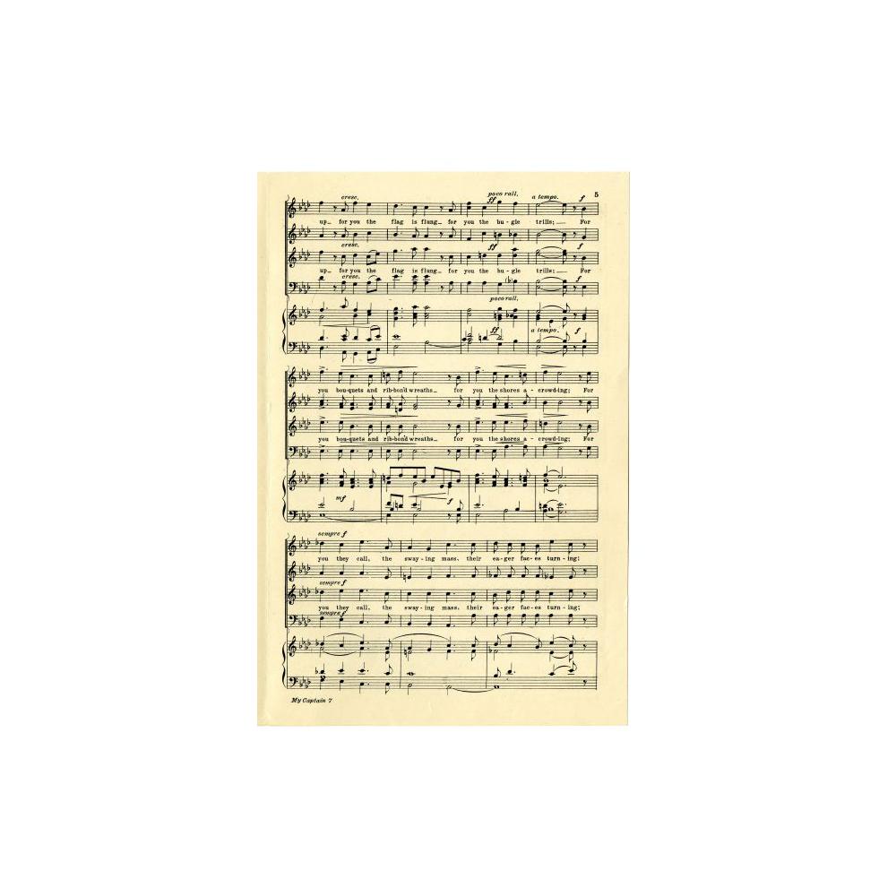 Image: O Captain My Captain