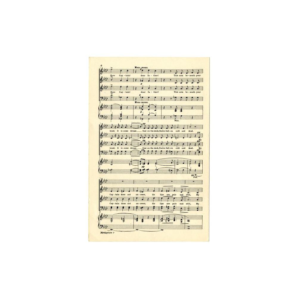 Image: O Captain My Captain