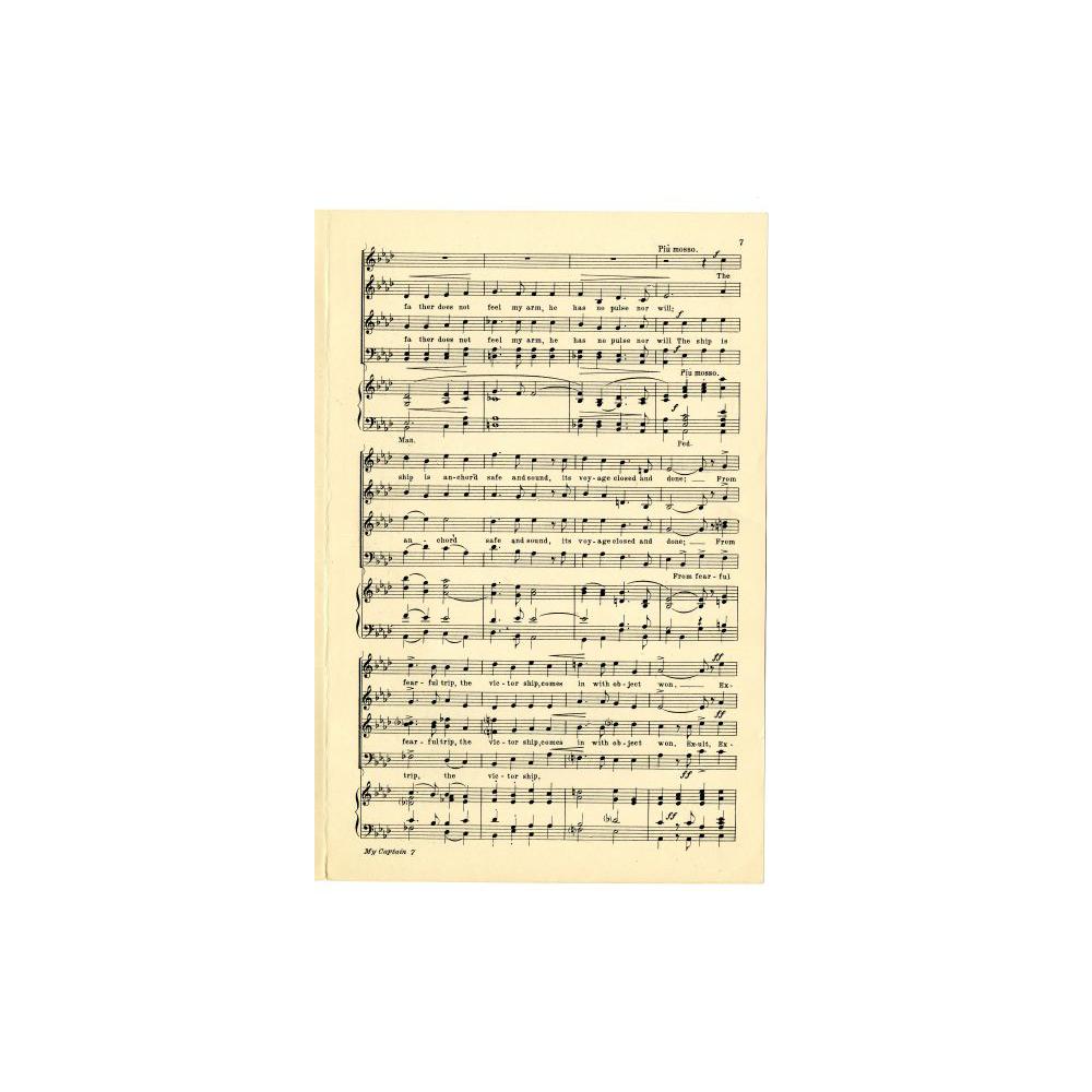 Image: O Captain My Captain