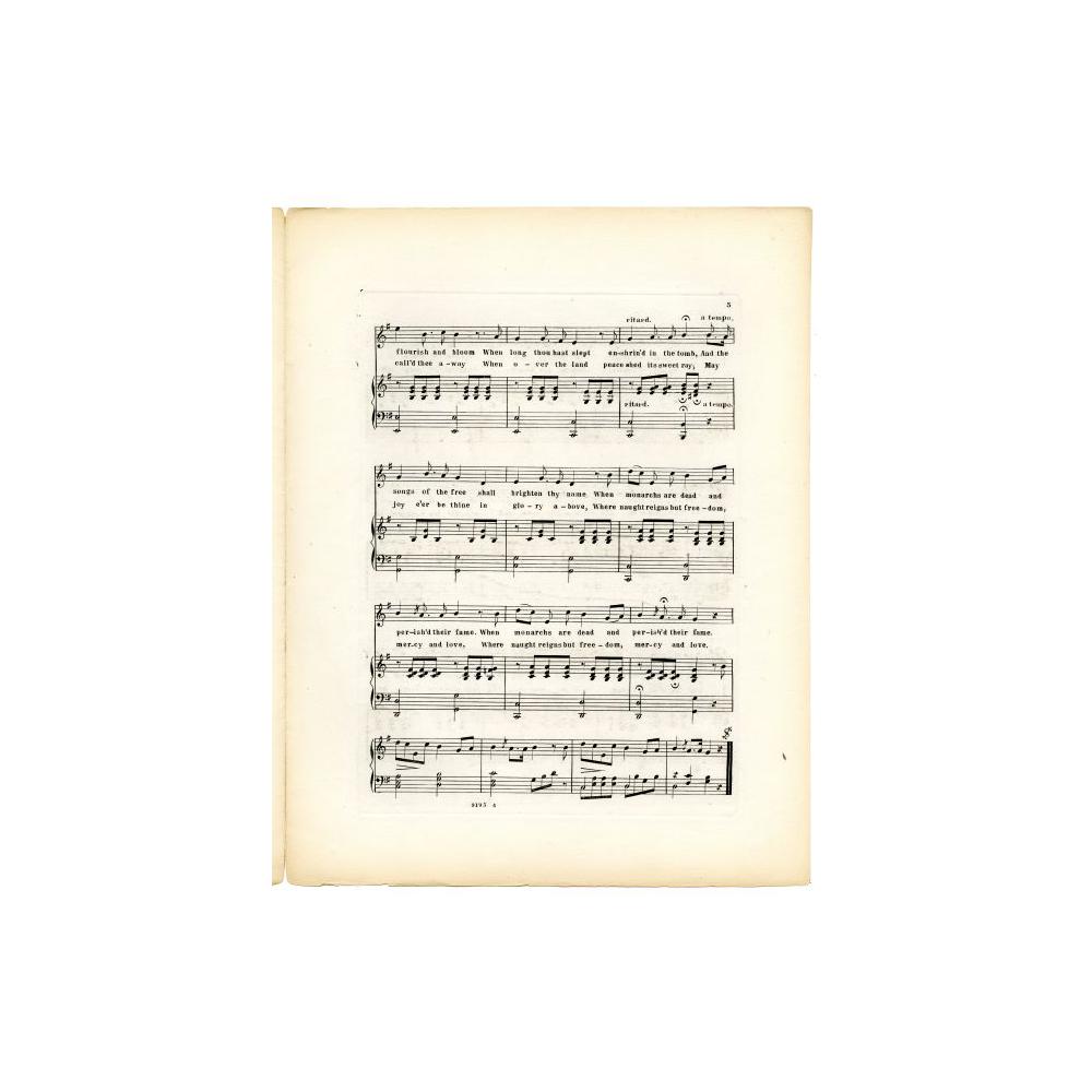 Image: Rest, Noble Chieftain