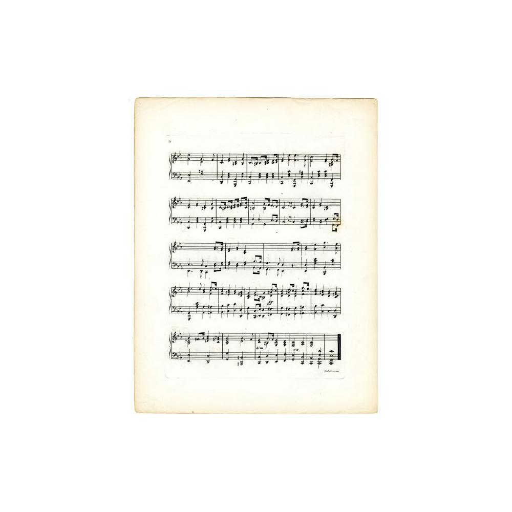 Image: Saule-Pleureur (Weeping Willow)