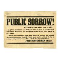 Image: Public Sorrow