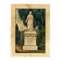 Image: The Nation's Friend