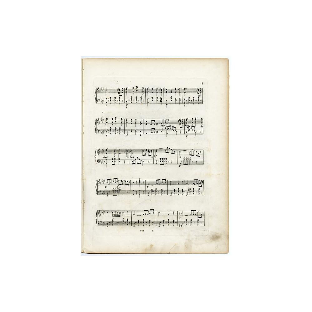 Image: The President's Emancipation March