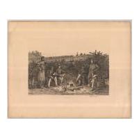 Image: Plate 12: Coffee Coolers