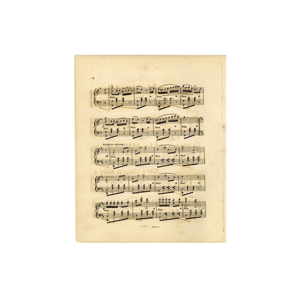 Image: Lincoln Quick Step