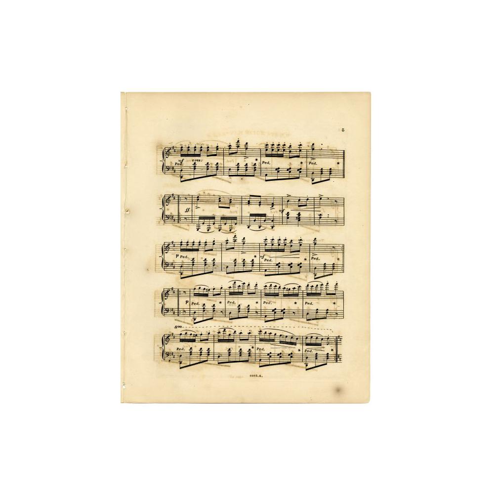 Image: Lincoln Quick Step