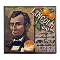 Image: Lincoln Brand Oranges advertisement