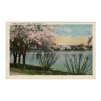 Image: Cherry Blossoms Time, Washington, D. C.