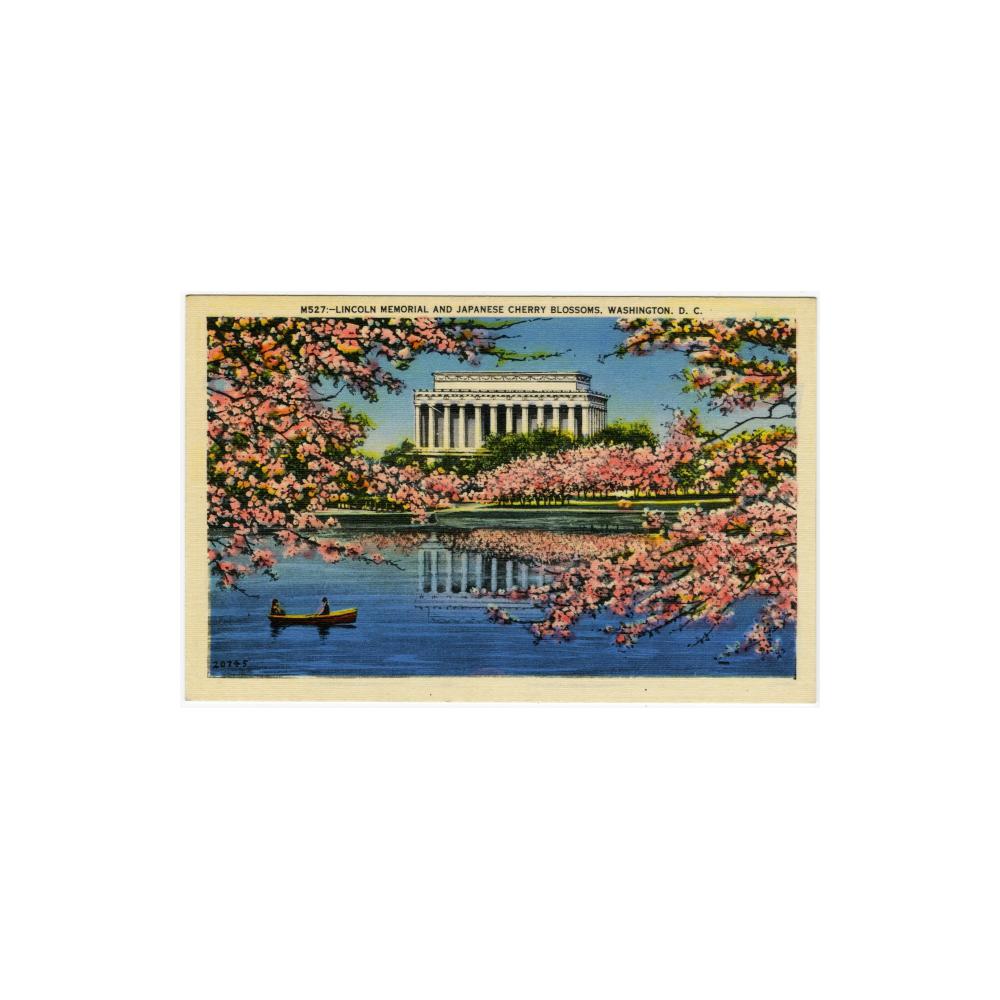Image: Lincoln Memorial and Japanese Cherry Blossoms, Washington, D. C.