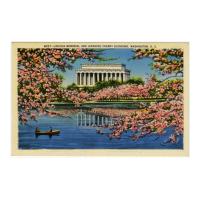 Image: Lincoln Memorial and Japanese Cherry Blossoms, Washington, D. C.