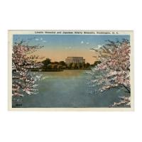 Image: Lincoln Memorial and Japanese Cherry Blossoms, Washington D. C.