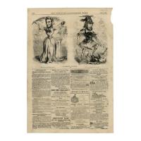 Image: The President's Inaugural [cartoon]