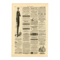 Image: Long Abraham Lincoln a Little Longer