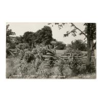 Image: Lincoln Log Cabin State Park