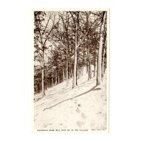 Image: Footpath from Mill Site up to the Village