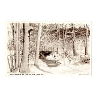 Image: Rocky Branch, at Foot of New Salem Hill