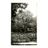 Image: Abraham Lincoln's First Home Site