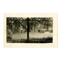 Image: Nancy Hanks Lincoln Park