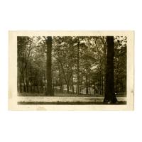 Image: Nancy Hanks Lincoln Park