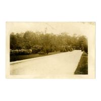 Image: Nancy Hanks Lincoln Park