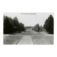 Image: The Allee, from North