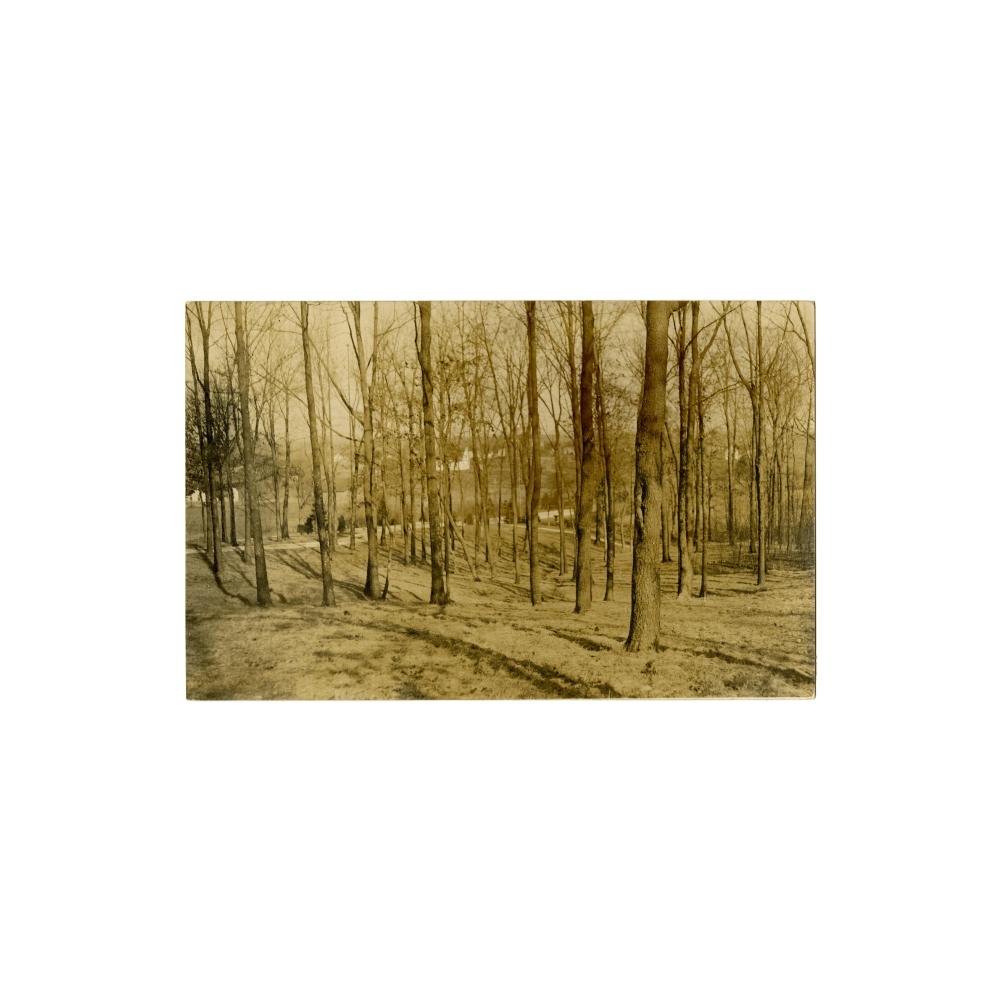 Image: Looking from Nancy Hanks Lincoln State Park Toward Lincoln City, Indiana