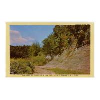 Image: Scene Where Abe Lincoln Fell in Knob Creek, Ky.