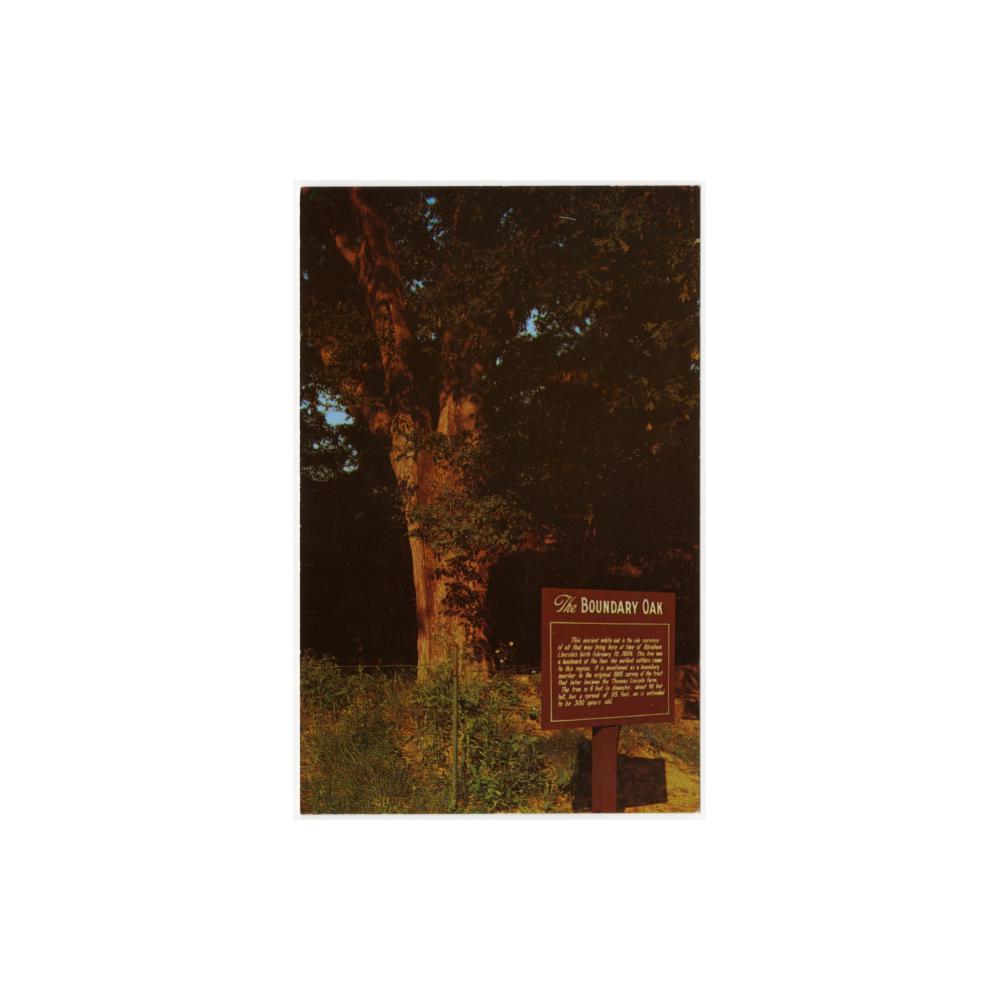 Image: Boundary Oak, Lincoln Birthplace