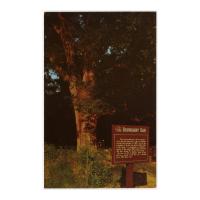 Image: Boundary Oak, Lincoln Birthplace