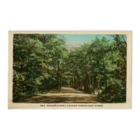 Image: Summer Street, Looking Toward East Street