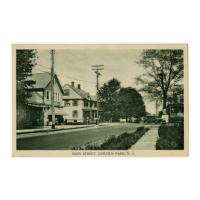 Image: Main Street, Lincoln Park, N. J.
