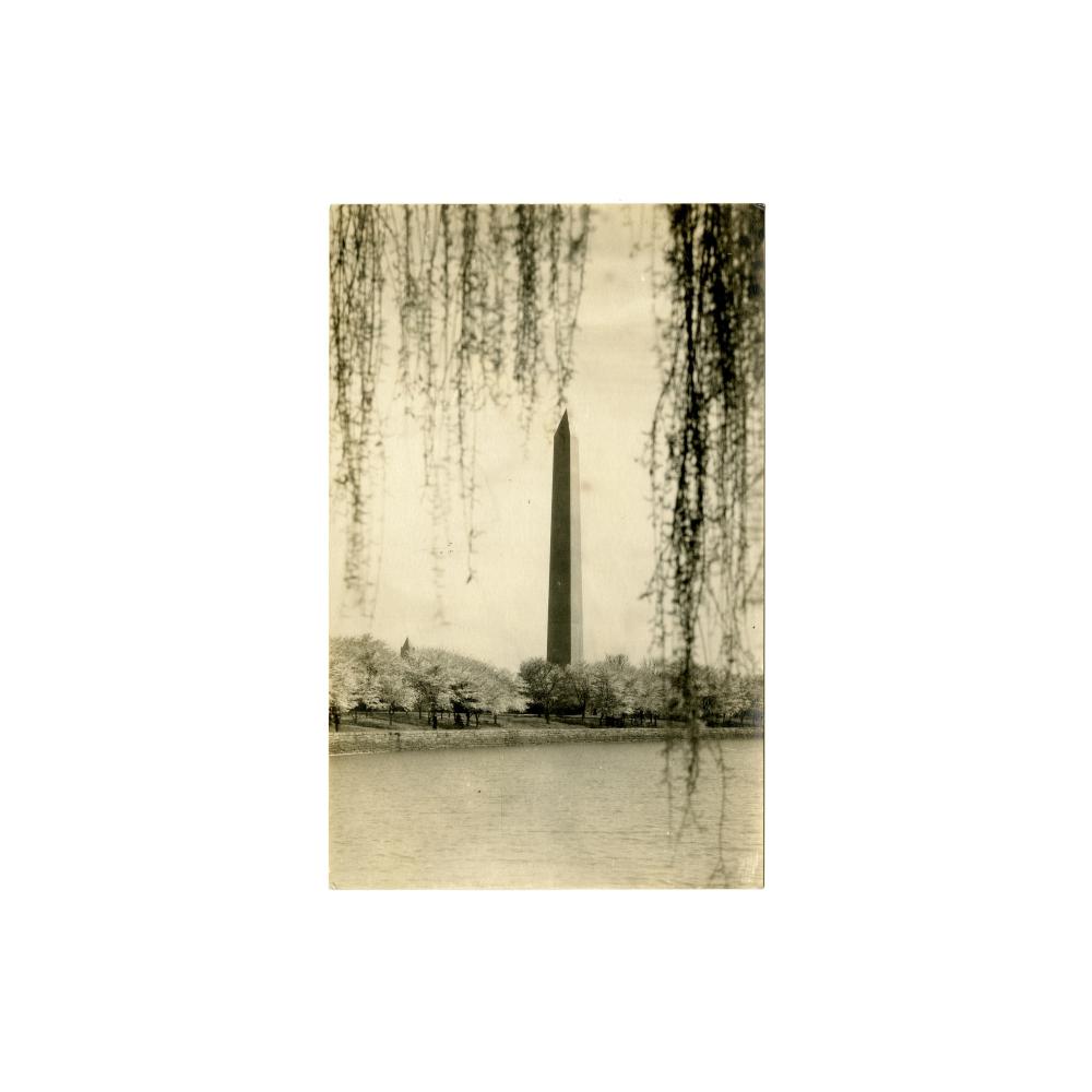Image: Washington Monument., Washington, D. C.