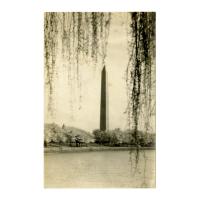 Image: Washington Monument., Washington, D. C.