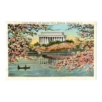 Image: Lincoln Memorial and Japanese Cherry Blossoms, Washington, D. C.