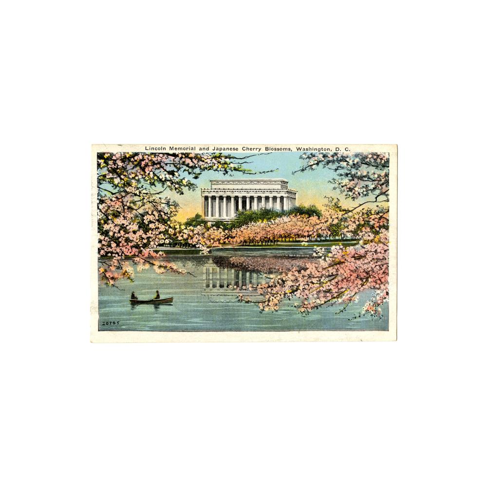 Image: Lincoln Memorial and Japanese Cherry Blossoms, Washington, D. C.