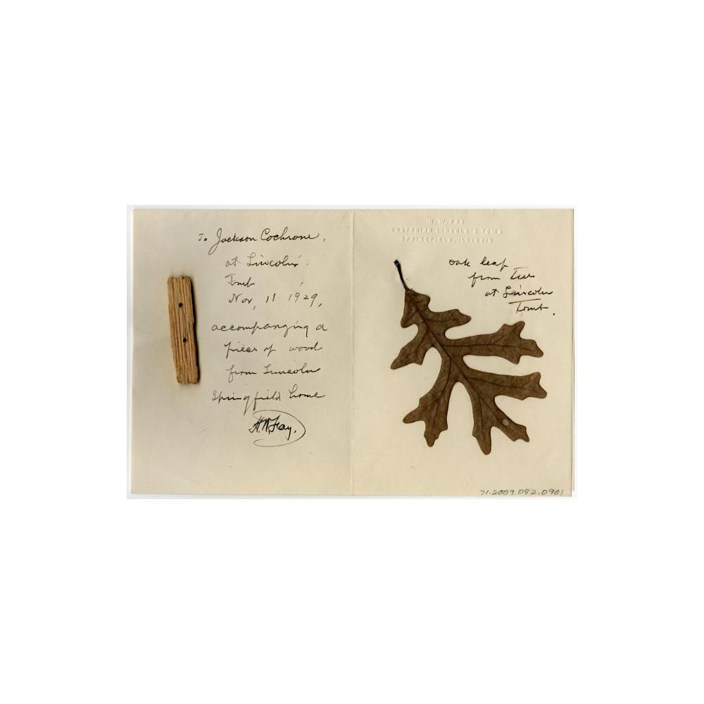 Image: Wood fragment and leaf souvenir