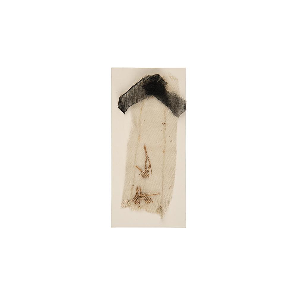 Image: Lincoln funeral flower remnants